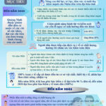 Chương trình hành động số 04-CTr/TU thực hiện Nghị quyết số 72-NQ/TW của Bộ Chính trị về một số giải pháp đột phá, tăng cường bảo vệ, chăm sóc và nâng cao sức khỏe Nhân dân